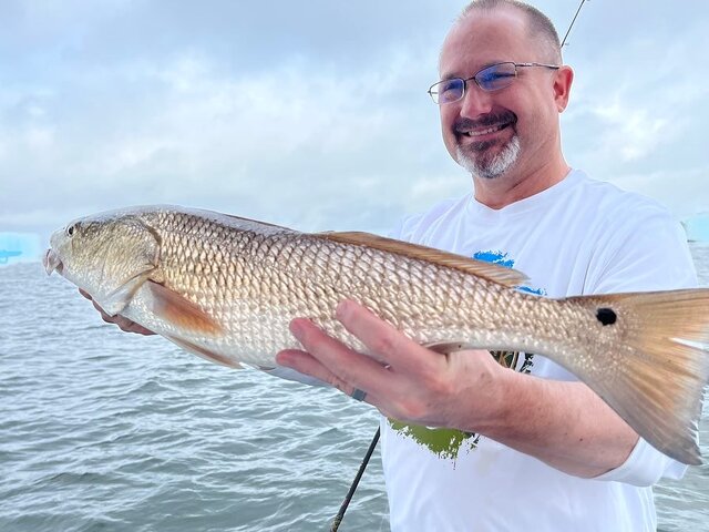 Listing image 684196