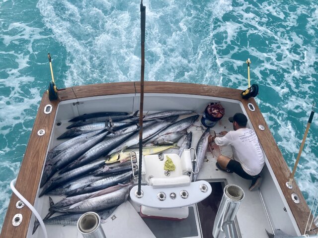 Listing image 1187036