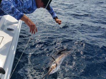 Charter Image
