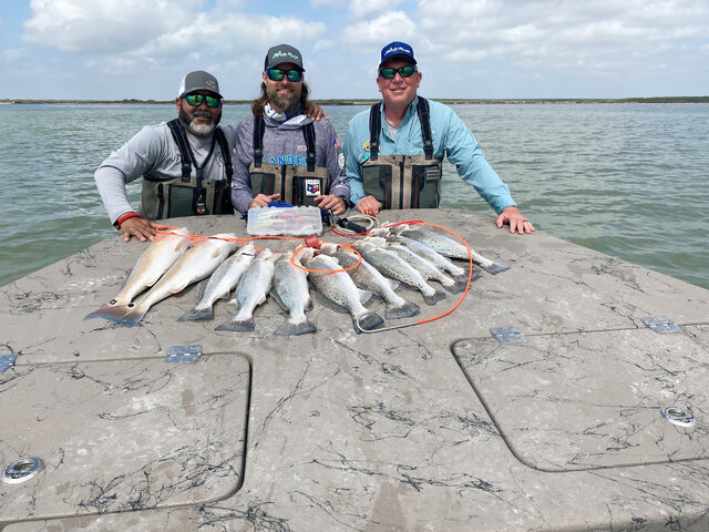 Listing image 691929