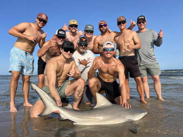 Listing image 1154481