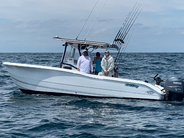 Listing image 697659