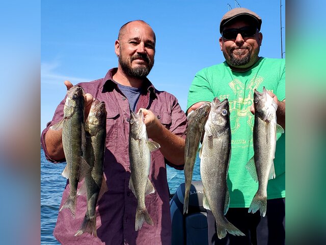 Listing image 689079