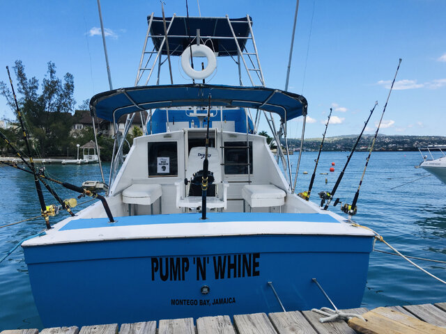 Listing image 720264