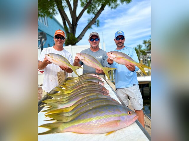 Listing image 696779