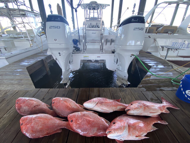 Listing image 696971