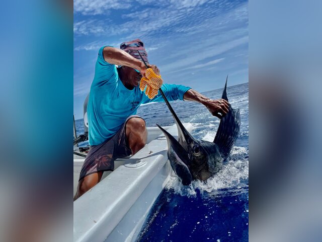 Listing image 1021866