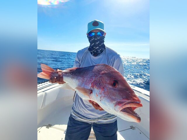 Listing image 790605