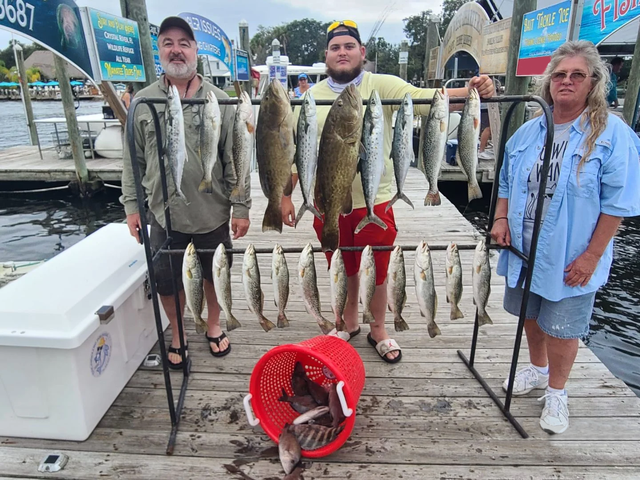 Listing image 789892