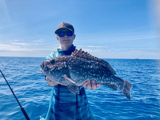 Listing image 692164