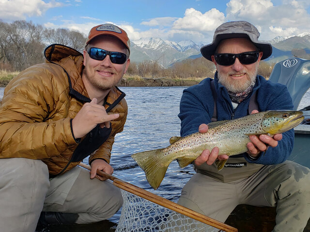 Listing image 698763