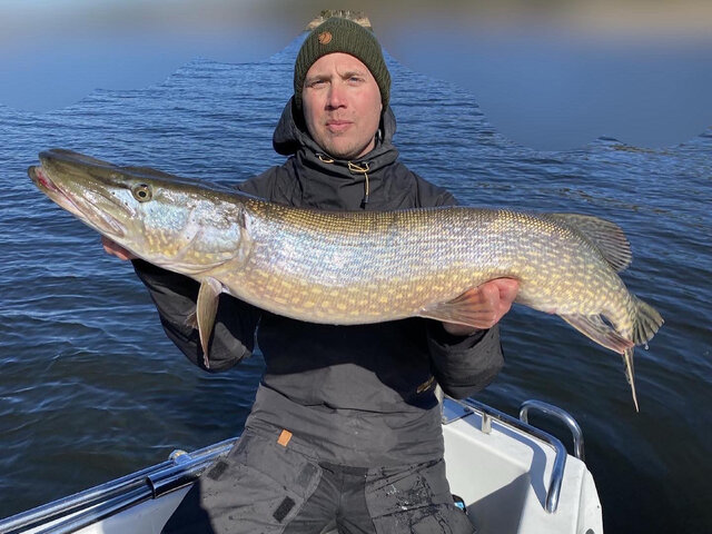 Listing image 707254