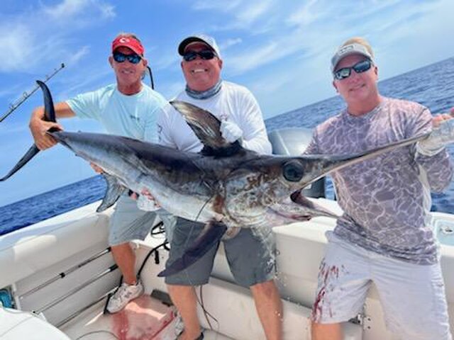 Listing image 867179