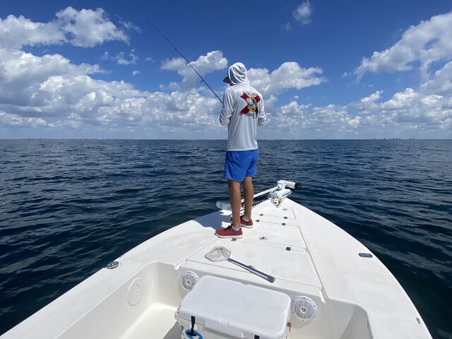 Listing image 710804