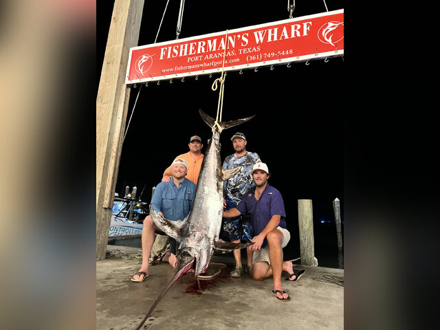 Listing image 733856