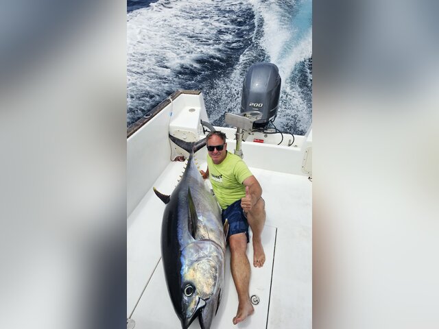 Listing image 1137295