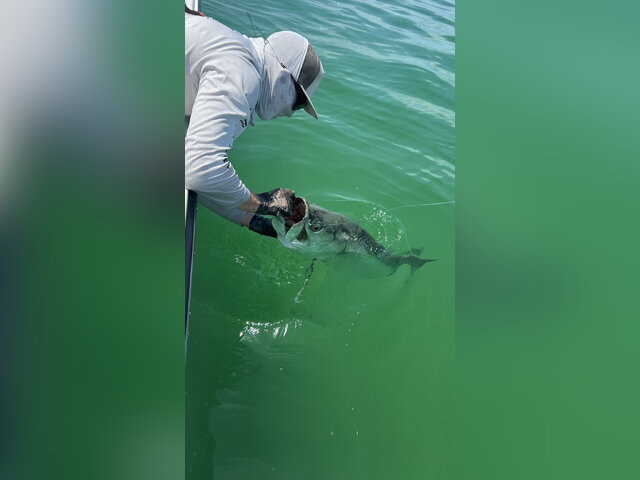 Listing image 1210528