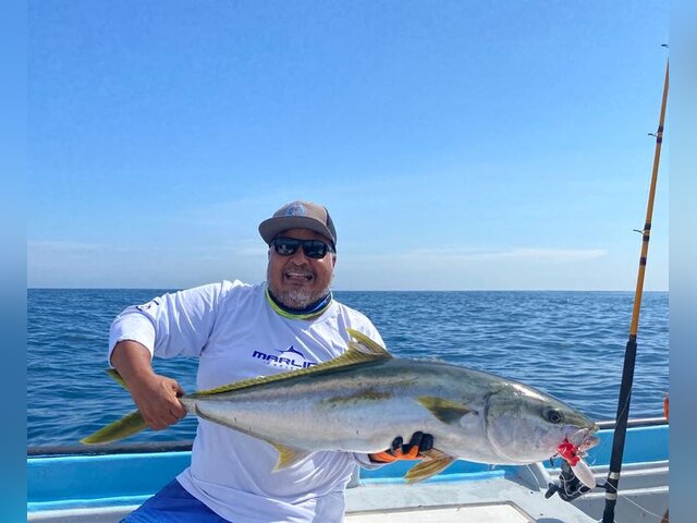 Listing image 1092688