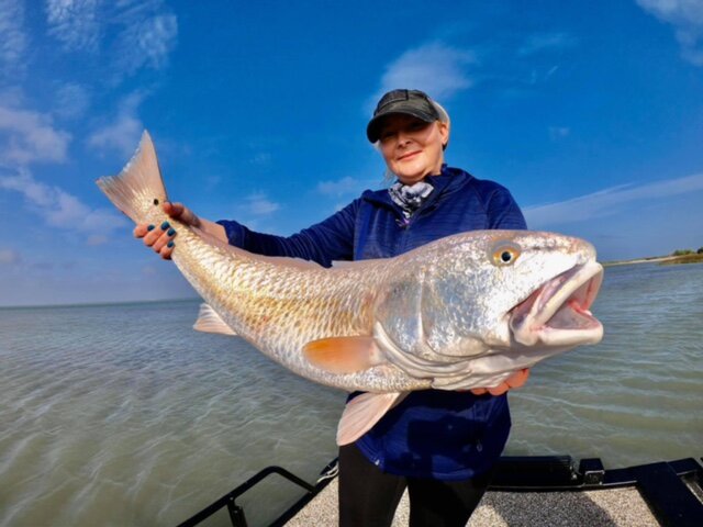 Listing image 1033662