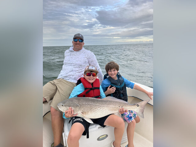 Listing image 1231571