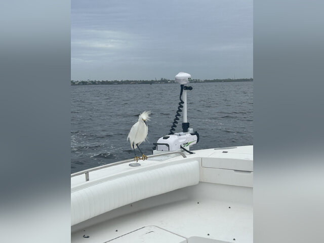 Listing image 972995