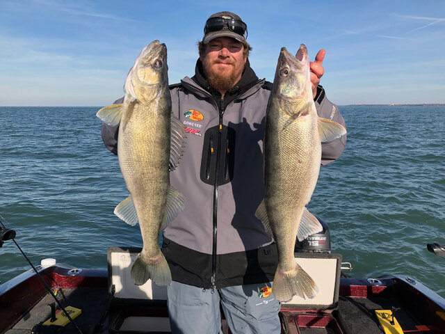 Listing image 725657