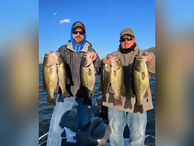 Listing image 700637