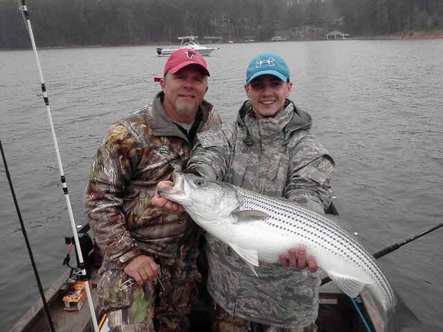 Listing image 823428