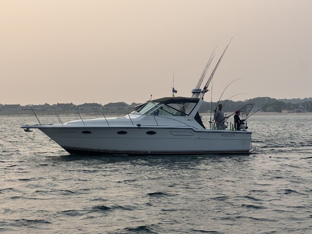 Listing image 1369470