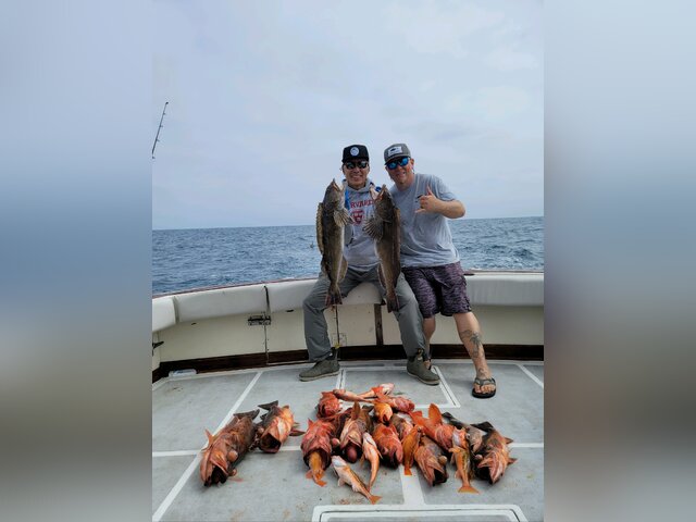 Listing image 1039855