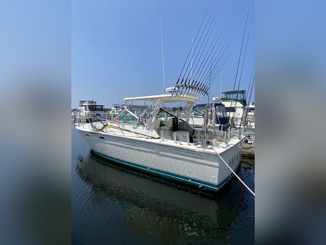 Listing image 703911