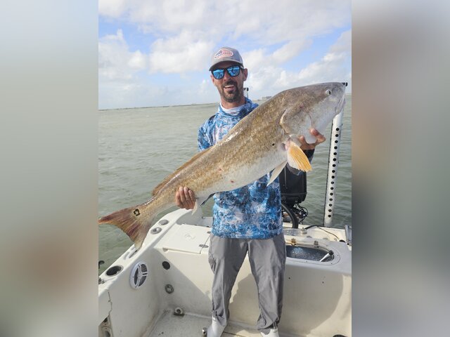 Listing image 1107447