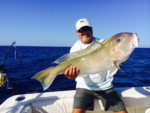 Listing image 704159