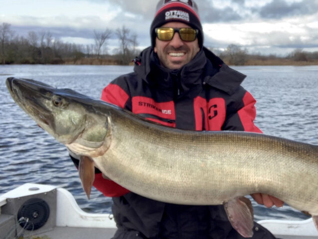 Listing image 708446