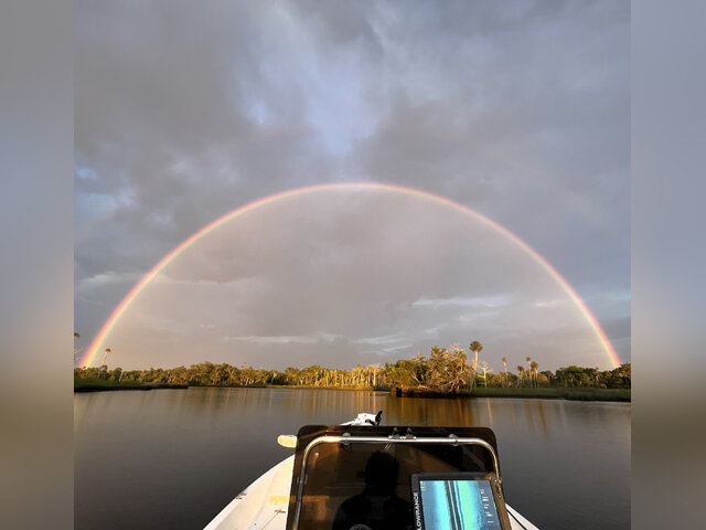 Listing image 706134