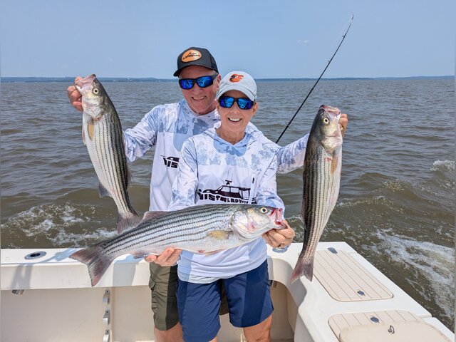 Listing image 1338548