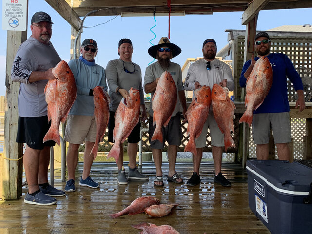 Listing image 746427