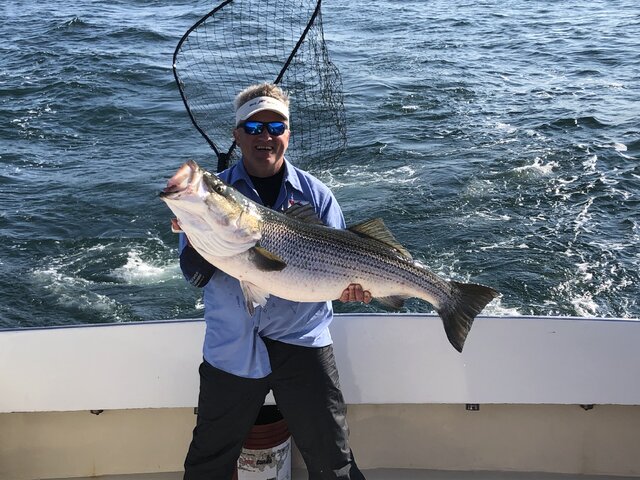 Listing image 809465