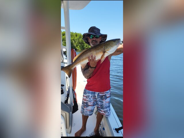 Listing image 714088