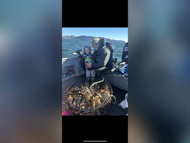 Listing image 1256441