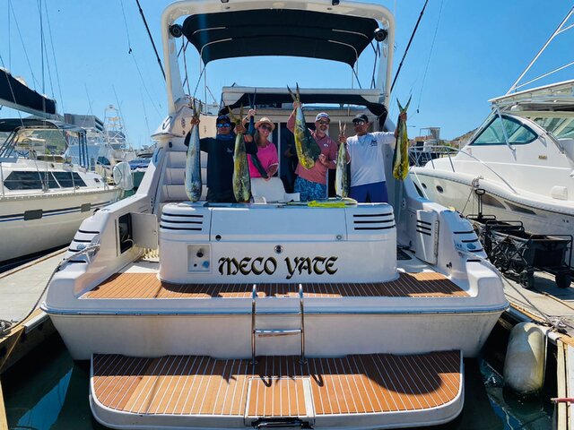 Listing image 773484