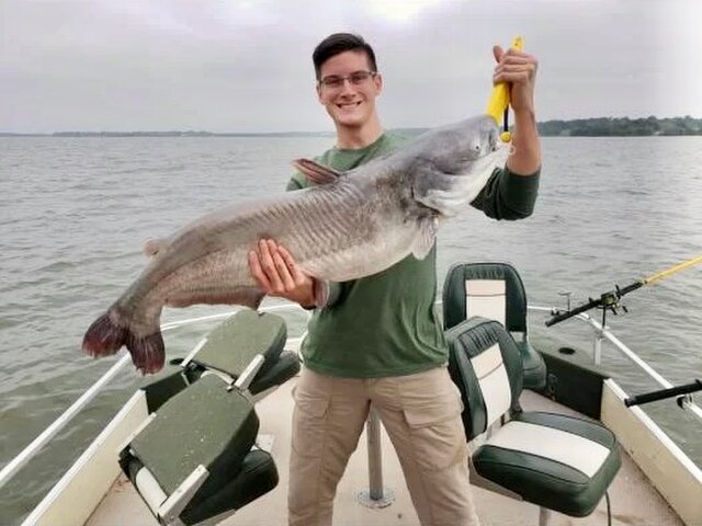 Listing image 951902