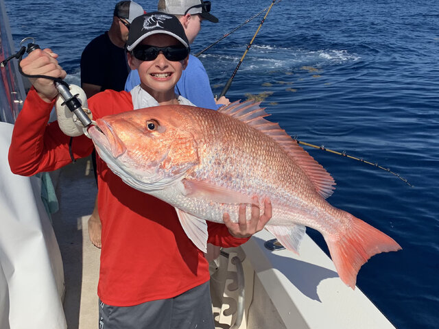 Listing image 746762