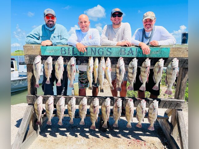 Listing image 772120