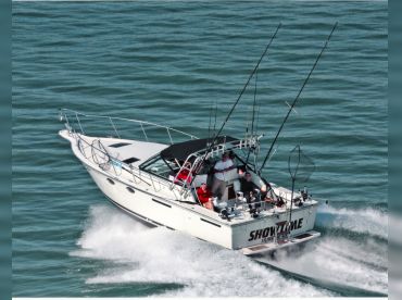 Showtime Charters