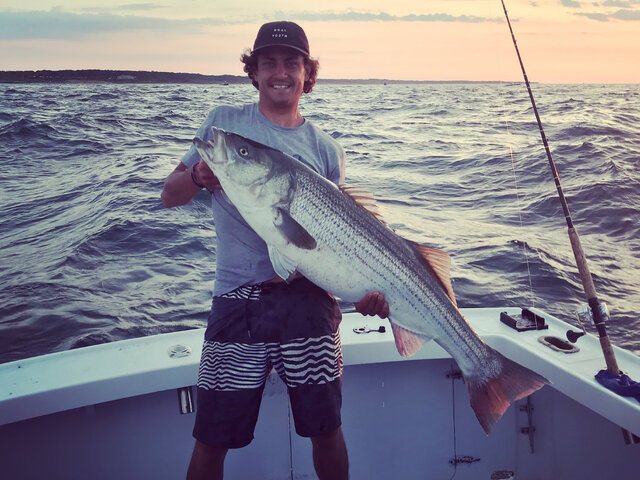 Listing image 720179