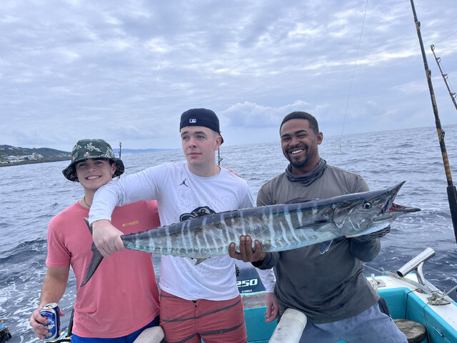 Listing image 1181702