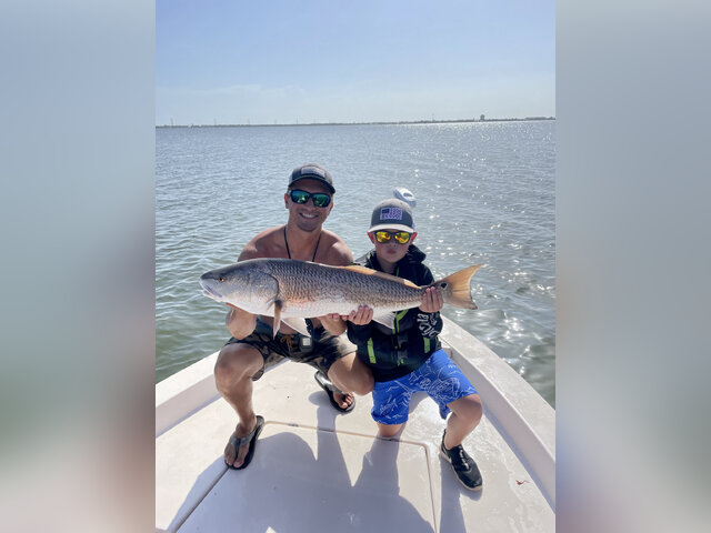 Listing image 736648