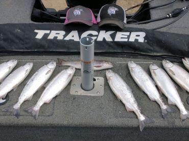 Frisky Fish Outfitters