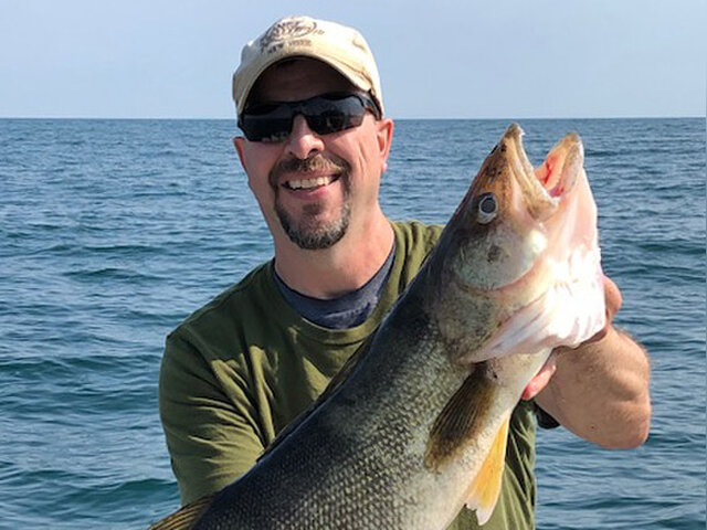 Listing image 731678